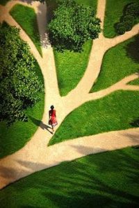 screenwriting process outlining - Script Angel - path choices