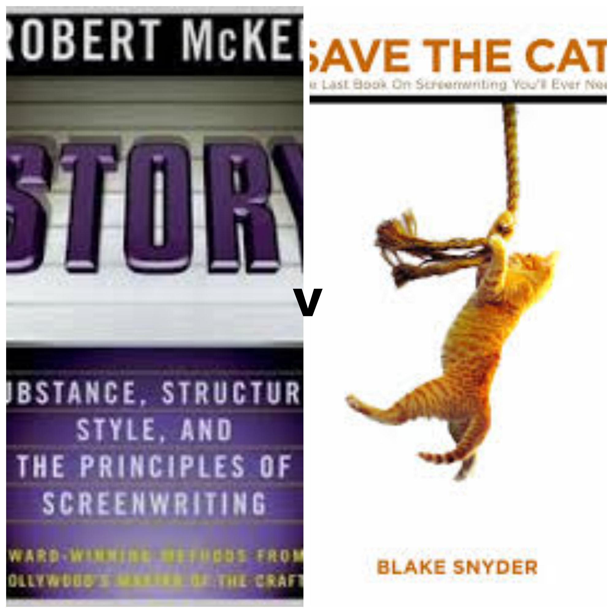story vs save the cat screenwriting book review