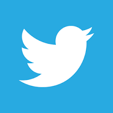 twitter logo script angel